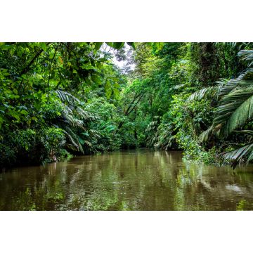 Lais Puzzle - Wunderschöne üppig grüne tropische Dschungellandschaft von einem Boot aus gesehen im Tortuguero-Nationalpark in Costa Rica - 2.000 Teile