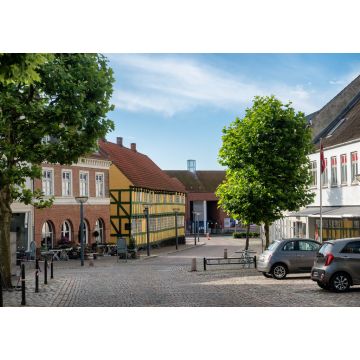 Lais Puzzle - Alte Straßen in Grenaa, Dänemark - 1.000 Teile