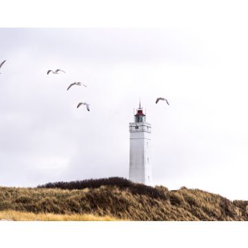 Lais Puzzle - Leuchtturm von Blavand, Dänemark - 40, 100, 200, 500, 1.000 & 2.000 Teile