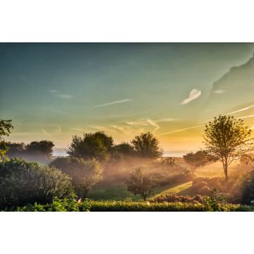 Lais Puzzle - Nebliger, feuchter Morgen am Gendarmstien in Vemmingbund, Dänemark - 2.000 Teile