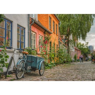 Lais Puzzle - An einem Sommertag parkt ein typisch dänisches Cargo-Bike, besser bekannt als Christiania Bike, am Eingang eines Hauses in einer gemütlichen, gepflasterten Straße, die Gemütlichkeit und ein kulturelles Konzept vermittelt - Aarhus, D...