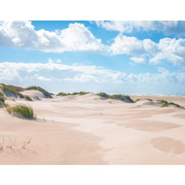 Lais Puzzle - Sandstrand an der Nordseeküste bei Skagen in Dänemark - 40, 100, 200, 500, 1.000 & 2.000 Teile