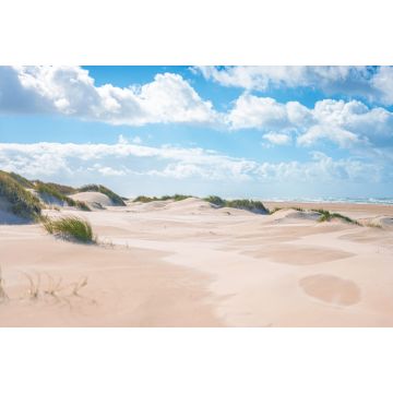Lais Puzzle - Sandstrand an der Nordseeküste bei Skagen in Dänemark - 2.000 Teile
