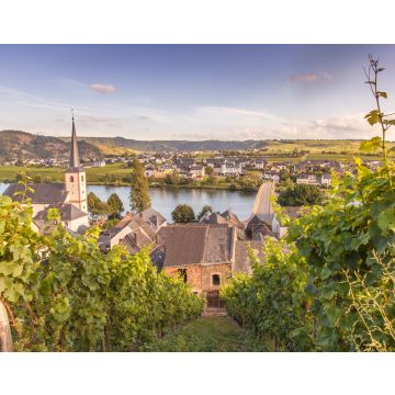 Lais Puzzle - Blick auf Mosel und Weinberge in Deutschland Piesport - 40, 100, 200, 500, 1.000 & 2.000 Teile
