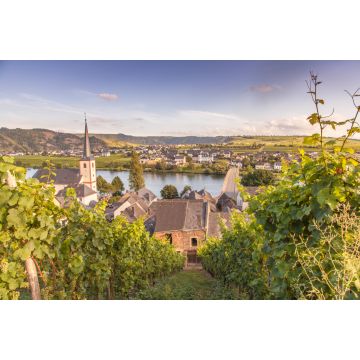 Lais Puzzle - Blick auf Mosel und Weinberge in Deutschland Piesport - 2.000 Teile