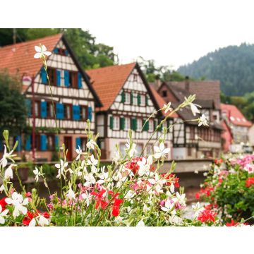 Lais Puzzle - die typischen Häuser von Schiltach, Schwarzwald, Deutschland - 40, 100, 200, 500, 1.000 & 2.000 Teile