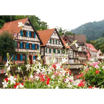 Lais Puzzle - die typischen Häuser von Schiltach, Schwarzwald, Deutschland - 1.000 Teile