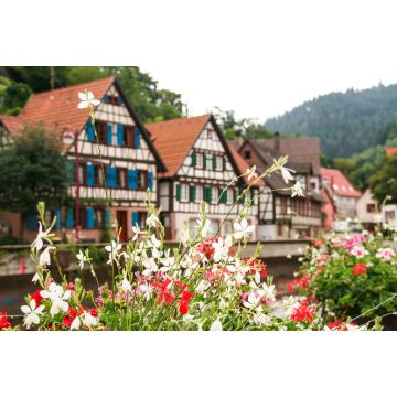Lais Puzzle - die typischen Häuser von Schiltach, Schwarzwald, Deutschland - 2.000 Teile