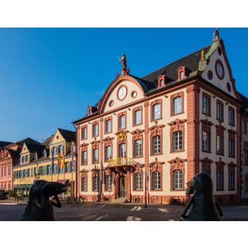Lais Puzzle - Offenburger Markplatz - 40, 100, 200, 500, 1.000 & 2.000 Teile