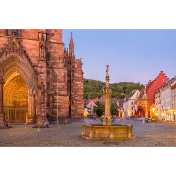 Lais Puzzle - Freiburg, Deutschland - 2.000 Teile