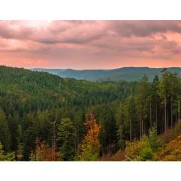 Lais Puzzle - Panoramablick von der Schwarzwaldhochstraße in Deutschland - 40, 100, 200, 500, 1.000 & 2.000 Teile