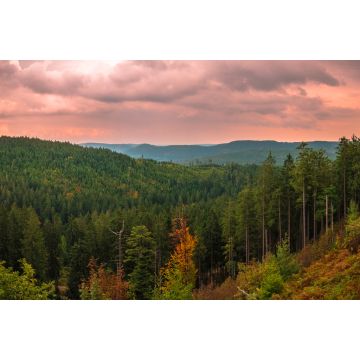 Lais Puzzle - Panoramablick von der Schwarzwaldhochstraße in Deutschland - 2.000 Teile