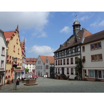 Lais Puzzle - Ottweiler Altstadt - 40, 100, 200, 500, 1.000 & 2.000 Teile