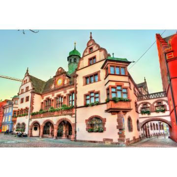 Lais Puzzle - Rathaus von Freiburg im Breisgau, Deutschland - 2.000 Teile