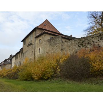 Lais Puzzle - Schloss in Extertal, Deutschland - 40, 100, 200, 500, 1.000 & 2.000 Teile