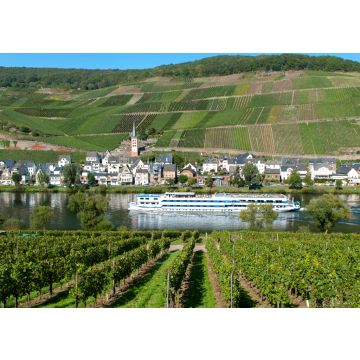 Lais Puzzle - Deutschland, Rheinland Pfalz, Moseltal, Zell - 100, 200, 500, 1.000 & 2.000 Teile
