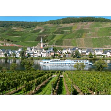Lais Puzzle - Deutschland, Rheinland Pfalz, Moseltal, Zell - 1.000 Teile