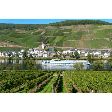 Lais Puzzle - Deutschland, Rheinland Pfalz, Moseltal, Zell - 2.000 Teile