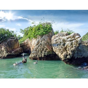 Lais Puzzle - Karibischer Traumurlaub: Pelikane auf Los Haitises / Samara / Dominikanische Republik - 40, 100, 200, 500, 1.000 & 2.000 Teile