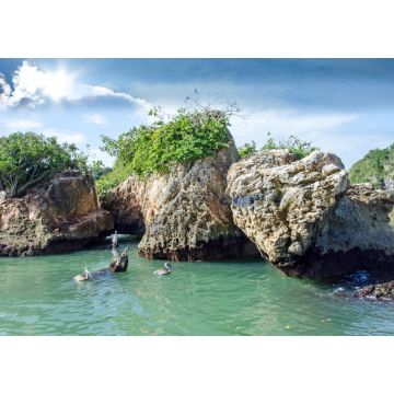 Lais Puzzle - Karibischer Traumurlaub: Pelikane auf Los Haitises / Samara / Dominikanische Republik - 1.000 Teile