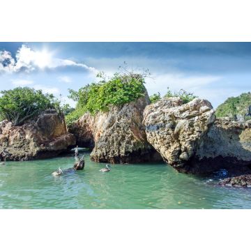 Lais Puzzle - Karibischer Traumurlaub: Pelikane auf Los Haitises / Samara / Dominikanische Republik - 2.000 Teile