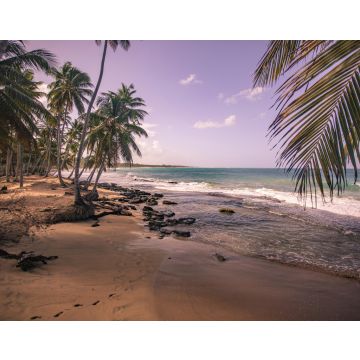 Lais Puzzle - Playa Limon in der Dominikanischen Republik - 40, 100, 200, 500, 1.000 & 2.000 Teile