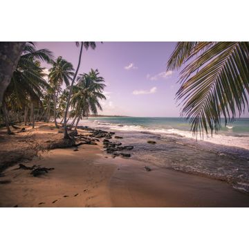 Lais Puzzle - Playa Limon in der Dominikanischen Republik - 2.000 Teile