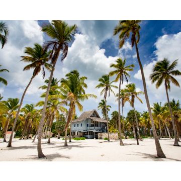Lais Puzzle - Panoramaansicht einer tropischen Villa am paradiesischen Strand mit Palmen auf der Insel Saona, Dominikanische Republik - 40, 100, 200, 500, 1.000 & 2.000 Teile