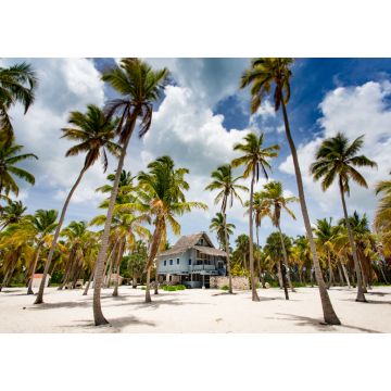 Lais Puzzle - Panoramaansicht einer tropischen Villa am paradiesischen Strand mit Palmen auf der Insel Saona, Dominikanische Republik - 1.000 Teile