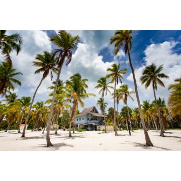 Lais Puzzle - Panoramaansicht einer tropischen Villa am paradiesischen Strand mit Palmen auf der Insel Saona, Dominikanische Republik - 2.000 Teile