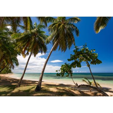 Lais Puzzle - Paradiesischer Strand mit weißem Sand, Palmen und blauem Wasser des Atlantischen Ozeans, Las Terrenas, Samana, Dominikanische Republik - 1.000 Teile