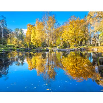 Lais Puzzle - Japanischer Garten aus Steinen im Park Kadriorg mit schönem Teich im goldenen Herbst. Tallinn, Estland - 40, 100, 200, 500, 1.000 & 2.000 Teile