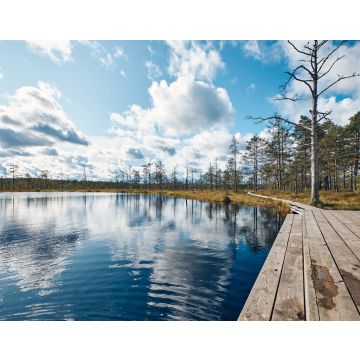 Lais Puzzle - Die Landschaft um das Viru-Moor, Lahemaa-Nationalpark, Estland - 40, 100, 200, 500, 1.000 & 2.000 Teile