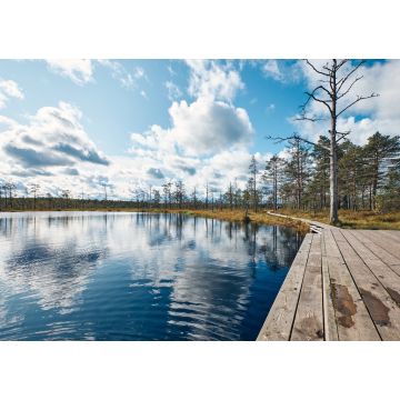 Lais Puzzle - Die Landschaft um das Viru-Moor, Lahemaa-Nationalpark, Estland - 1.000 Teile