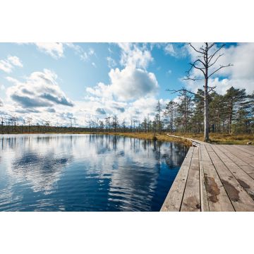 Lais Puzzle - Die Landschaft um das Viru-Moor, Lahemaa-Nationalpark, Estland - 2.000 Teile
