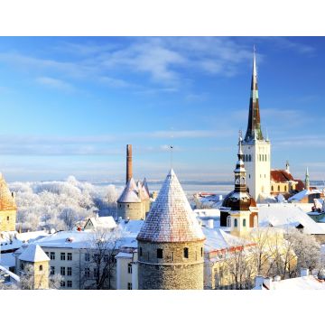 Lais Puzzle - Tallinn Stadt. Estland. Schnee auf Bäumen im Winter - 40, 100, 200, 500, 1.000 & 2.000 Teile