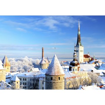 Lais Puzzle - Tallinn Stadt. Estland. Schnee auf Bäumen im Winter - 1.000 Teile