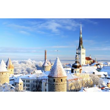 Lais Puzzle - Tallinn Stadt. Estland. Schnee auf Bäumen im Winter - 2.000 Teile