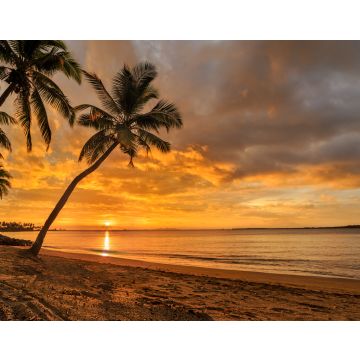 Lais Puzzle - Sonnenuntergang am fidschianischen Strand - 40, 100, 200, 500, 1.000 & 2.000 Teile