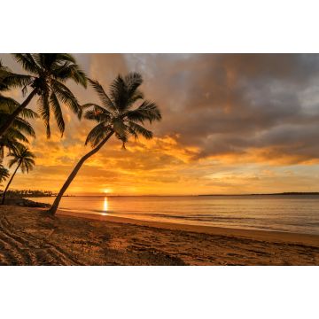Lais Puzzle - Sonnenuntergang am fidschianischen Strand - 2.000 Teile