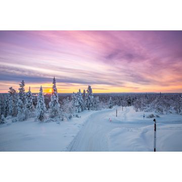 Lais Puzzle - Winterlandschaft in Lappland, Finnland - 2.000 Teile