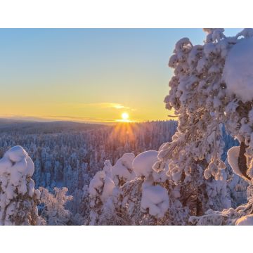 Lais Puzzle - Winterlandschaft von Sotkamo, Finnland - 40, 100, 200, 500, 1.000 & 2.000 Teile