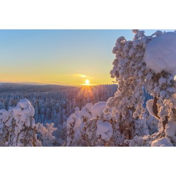 Lais Puzzle - Winterlandschaft von Sotkamo, Finnland - 2.000 Teile