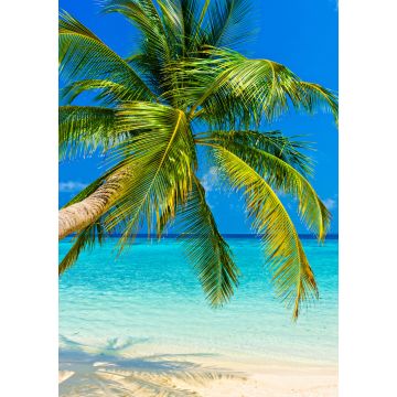 Lais Puzzle - Tropischer Strand - 500 & 1.000 Teile