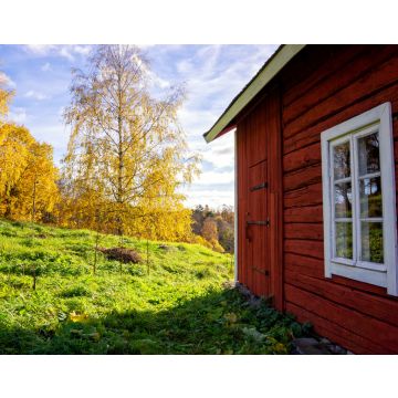 Lais Puzzle - Einsames traditionelles rotes Holzhäuschen im Herbst in Lieto, Finnland - 40, 100, 200, 500, 1.000 & 2.000 Teile