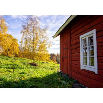 Lais Puzzle - Einsames traditionelles rotes Holzhäuschen im Herbst in Lieto, Finnland - 1.000 Teile