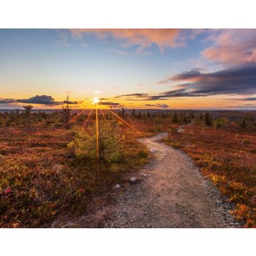 Lais Puzzle - Schöner Herbstabend auf dem Fjäll in Lappland, Finnland, Riisitunturi - 40, 100, 200, 500, 1.000 & 2.000 Teile