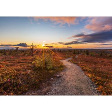 Lais Puzzle - Schöner Herbstabend auf dem Fjäll in Lappland, Finnland, Riisitunturi - 1.000 Teile
