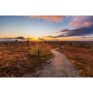 Lais Puzzle - Schöner Herbstabend auf dem Fjäll in Lappland, Finnland, Riisitunturi - 2.000 Teile