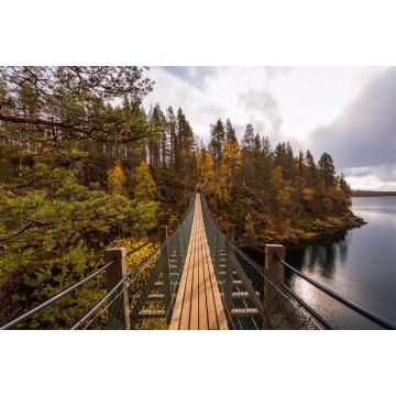Lais Puzzle - Hängebrücke im Herbstwald, Oulanka-Nationalpark, Finnland - 2.000 Teile